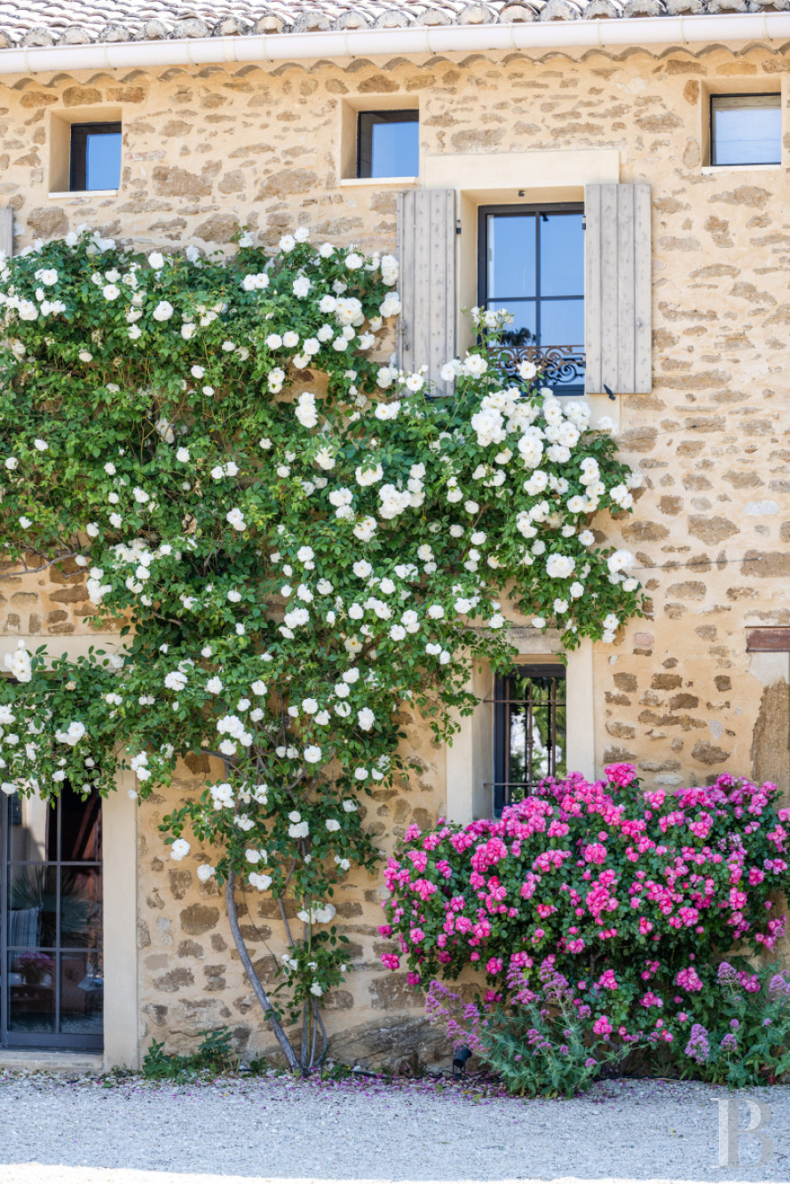 Dans le Vaucluse, aux environs de Beaumes-de-Venise,  une ancienne ferme du 18e siècle bordée de vignes - photo  n°19